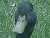 Click Here for Spring '01 Pics