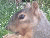 Click Here for U.P. Pics