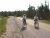 Click Here for Bike Tour Pics