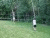 Click Here for Choir Picnic Pics