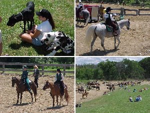 4-H Fair
