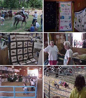 4-H Fair