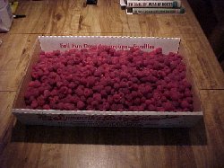 Raspberries