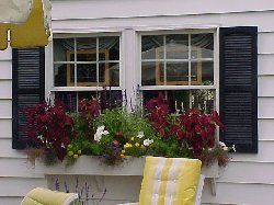 Window Box