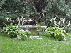 Bench