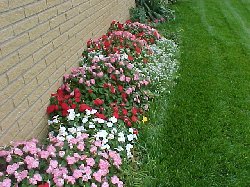 Side Flowerbed