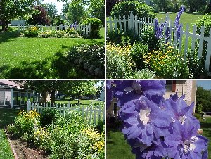 Neighbor's Yard