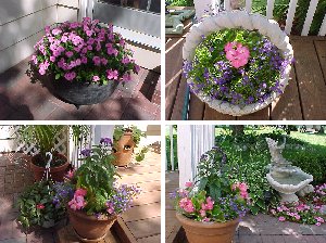 Neighbor's Yard