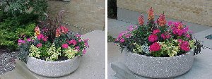 Planters