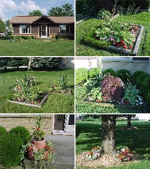 My Yard