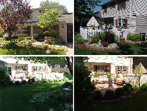Neighbor's Yard
