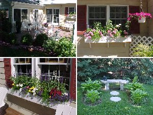 Neighbor's Yard