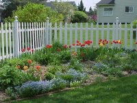 Linda's Perennials