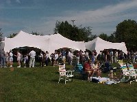 Mass in the Grass